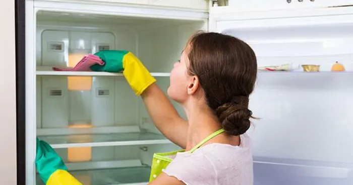 How To Maintain A Refrigerator: Top 10 Tips